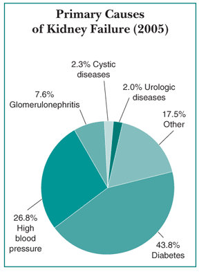 Pie chart showing the primary causes of kidney failure in the United States in 2005
