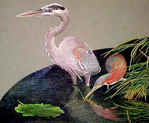 Herons