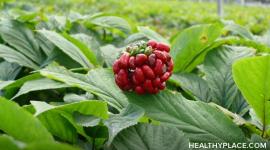 Get detailed information on American Ginseng a natural remedy for depression, a herbal remedy for adhd. Covers Ginseng and Antidepressants, MAOIs.