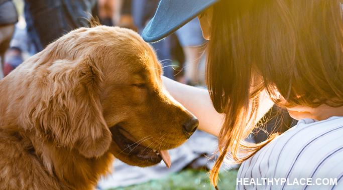 Ease Anxiety with Pets: Animal Therapy at Its Most Natural Easing anxiety with pets is animal therapy at its most natural--there's no need to be a professional to benefit from pets. Animals give us mental peace. Watch.